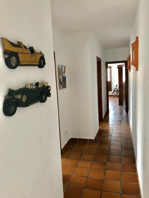 Apartamento Lavanda 科拉雷侯 外观 照片