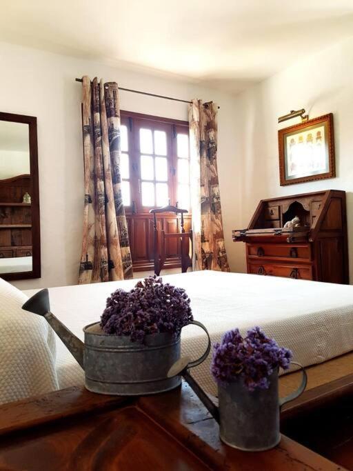 Apartamento Lavanda 科拉雷侯 外观 照片
